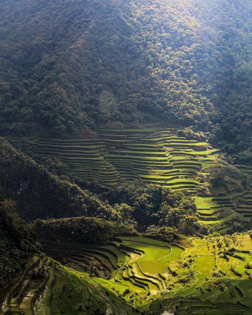 Chiêm ngưỡng ruộng bậc thang Banaue cổ xưa ở Philippines iVIVU