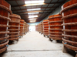 Nhà thùng sản xuất nước mắm Phú Quốc - iVIVU.com