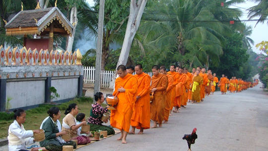 Sư khất thực tại Luang Prabang, Lào - iVIVU.com