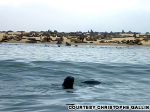 Bờ biển Skeleton, Namibia - iVIVU.com