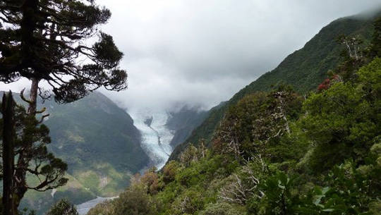 Du lịch New Zealand - Westland Tai Poutini National Park - iVIVU.com