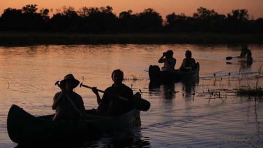 Phiêu lưu mạo hiểm - châu Phi - Botswana - iVIVU.com