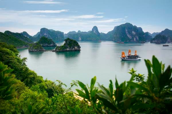 Káº¿t quáº£ hÃ¬nh áº£nh cho vinh ha long