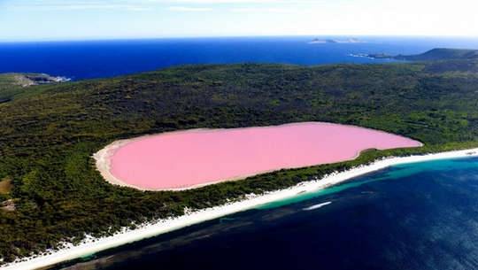 Hồ nước hồng ở Australia
