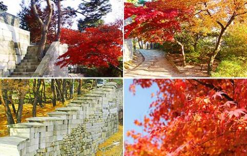 Tường Pháo đài Seoul 600 tuổi trên núi Bugaksan