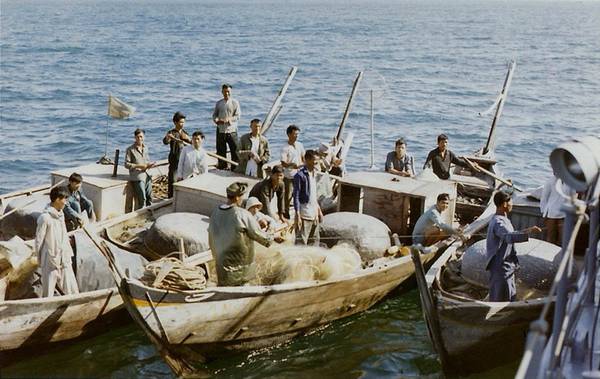 Ngư dân bắt cá ở Lăng Cô.