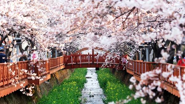 10 địa điểm du lịch Hàn Quốc không thể bỏ qua