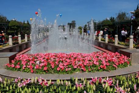 Không gian ấn tượng bởi sự kết hợp các đài phun nước và hoa trong công viên hoa Đà Lạt.