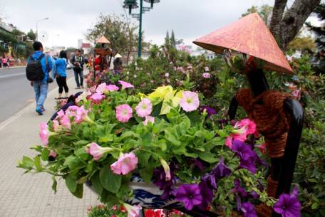 Đường hoa Hương sắc Tây Nguyên với 15.000 chậu hoa, giỏ hoa các loại như cẩm chướng, trạng nguyên, dạ yến thảo... được tạo hình rất ấn tượng, được thiết kế từ khu Hòa Bình đến đường Hồ Xuân Hương.