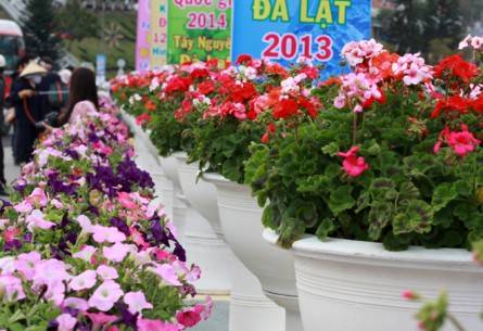 Hàng trăm công ty hoa trong và ngoài nước đã tụ hội về đây mang theo nhiều loài hoa đẹp trình diễn trong lễ hội lớn nhất của thành phố hoa.