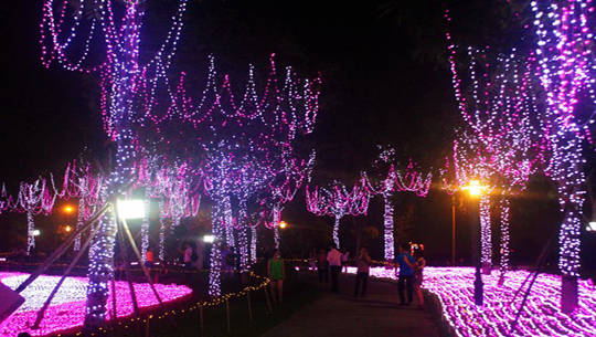 Hàng trăm ngàn bóng đèn lung linh ở công viên Sài Gòn