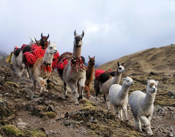 Beautiful-places-to-visit-in-Peru-ivivu