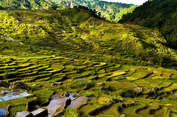 Sagada-philippines-ivivu Sagada-philippines-ivivu