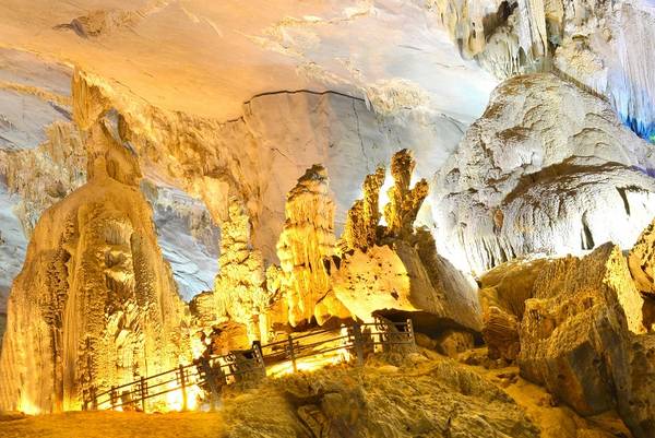 Image result for động phong nha