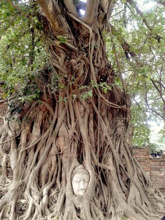 du lịch Thái Lan