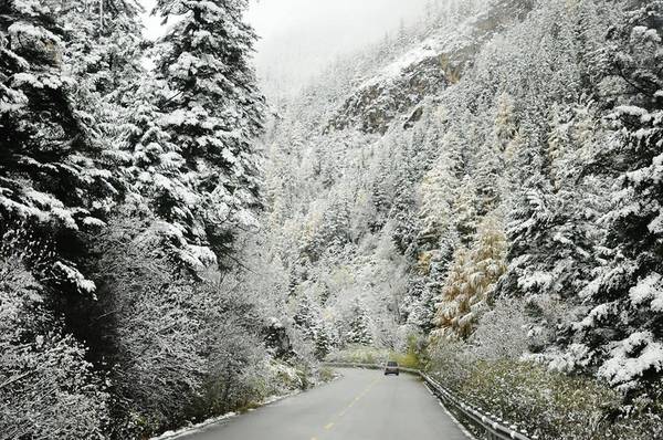 Tuyết rơi ở Sa Pa, khung cảnh không khác gì ở những quốc gia Bắc Âu.