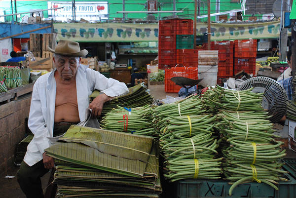 Một người đàn ông đang ngủ cạnh quầy bán đậu của mình ở chợ Mexico.