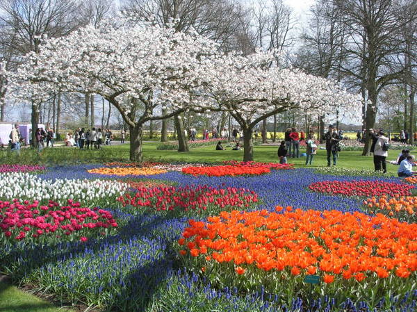 Công viên Keukenhof, điểm hẹn của du khách khi đến Hà Lan vào mùa xuân.