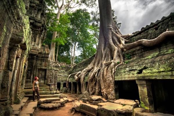 Đền Ta Prohm là một ngôi đền đặc biệt nhất trong quần thể Angkor.