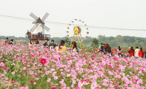 vuon-hoa-bai-da-song-hong-vao-mua-hut-khach-ivivu-3