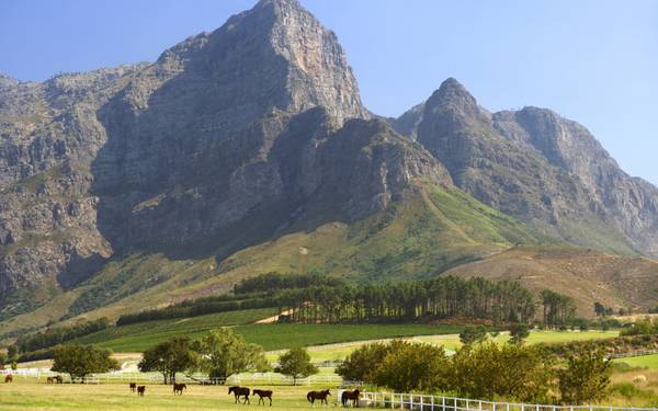 Các thung lũng màu mỡ của Winelands Cape được bao quanh bởi những dãy núi hùng vĩ và những ngôi làng thanh bình, tượng đài rực rỡ, vườn cây ăn trái trĩu quả và một số cảnh quan ở Nam Phi.