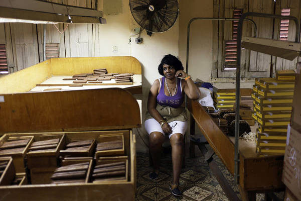 Một người phụ nữ Cuba đang làm việc tại một nhà máy xì gà H. UPMANN hôm 26/2/2015 tại Havana, Cuba. 