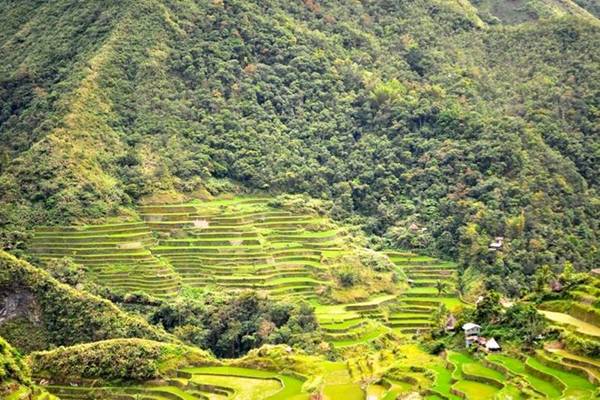 Nhiều du khách bắt đầu hành trình khám phá Cordillera từ thị trấn Banaue, cách thủ đô Manila 15 giờ đi xe buýt.