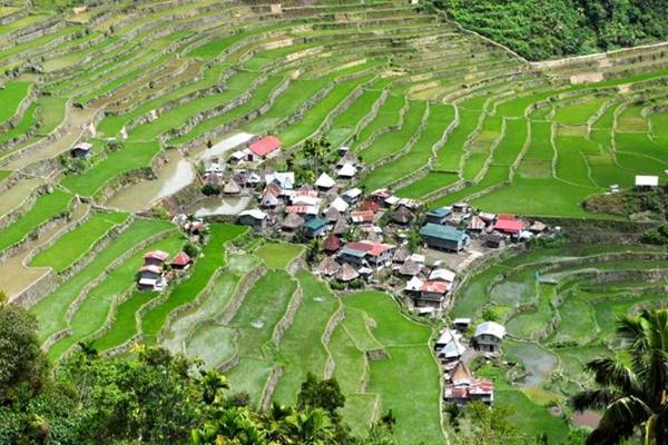 Một trong những địa điểm ưa thích của du khách ở Cordillera là ngôi làng Batad với dân số 1.500 người.