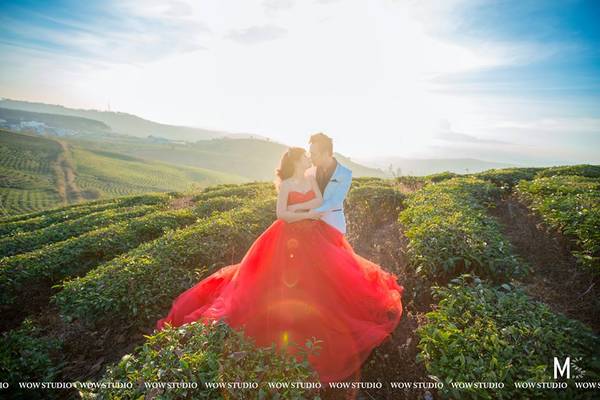 Top những nơi chụp hình cưới hot nhất năm 2015