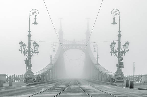 Cầu Liberty (tự do), thuộc thủ đô Budapest là cây cầu ngắn nhất tại Budapest và được bình chọn vào top kiệt tác kiến trúc của thế giới.