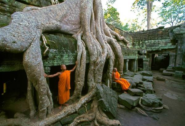 Một trải nghiệm vô cùng quen thuộc nhưng không một du khách nào bỏ qua khi đến Siem Reap là ghé thăm những ngôi đền Angkor. Ảnh: herculture.org Một trải nghiệm vô cùng quen thuộc nhưng không một du khách nào bỏ qua khi đến Siem Reap là ghé thăm những ngôi đền Angkor. Ảnh: herculture.org