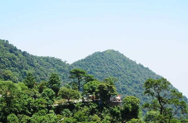 Nằm trên cao độ gần 1.000m so với mặt nước biển, Tam Đảo được coi là điểm nghỉ dưỡng tuyệt vời, thiên nhiên 4 mùa trong ngày, với khí hậu trong lành và mát mẻ. Do-xo-len-rung-tron-nong-ngam-hoang-hon-ivivu-1