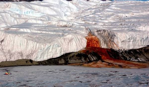 <strong>Thác máu (Nam Cực): T</strong>hác màu đỏ rực đổ trên nền tuyết trắng tạo thành quang cảnh “đẫm máu”. Thực ra nguyên nhân là do nước muối ở đây chứa lượng ôxit sắt rất cao.