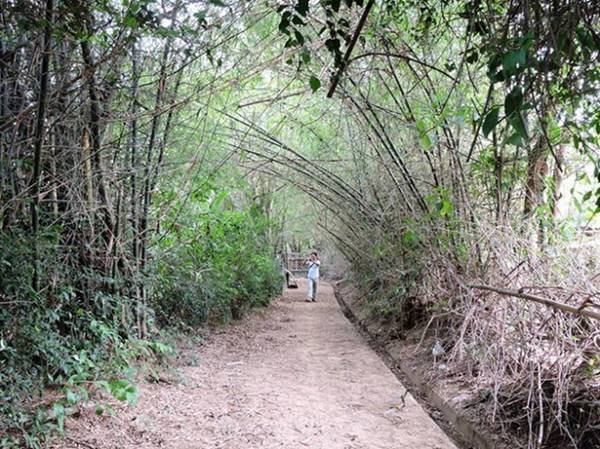 Con đường dẫn vào khu du lịch sinh thái Triêm Tây ngoằn ngoèo, quanh co, rợp bóng tre che mát. Ảnh: Thanh Ly.