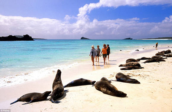 Galapagos đứng đầu danh sách 10 hòn đảo du lịch tốt nhất thế giới.