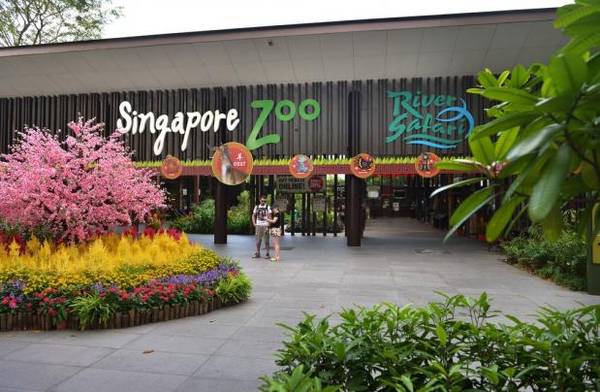 liet-ke-50-diem-den-singapore-zoo-ivivu-1