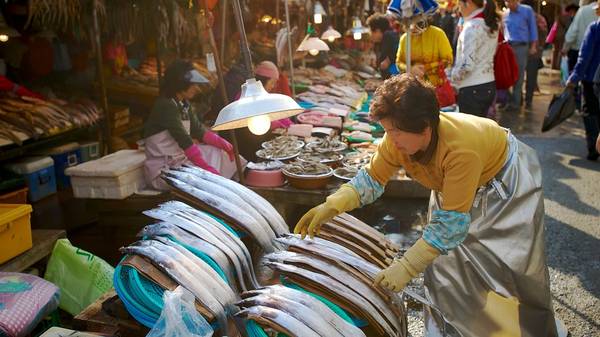 Là chợ cá lớn nhất xứ sở Kim Chi, chợ Jagalchi được xây từ năm 1963 và là nơi cung cấp lượng thủy hải sản khổng lồ cho toàn Busan. Ảnh: Expedia