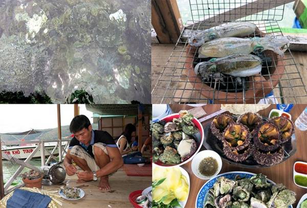 San hô nhìn rõ nhờ làn nước trong vắt (ảnh trên, bên trái) và các món ăn đặc sản biển Quy Nhơn, được dân địa phương phục vụ tận bàn