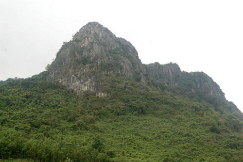 Chùa Non - núi Thần Đinh Chùa nằm ở thôn Rào Đá, Trường Xuân, huyện Quảng Ninh, cách TP. Đồng Hới khoảng 25 km về phía tây nam. Nơi đây được biết đến là “chốn đa Phật” cùng giếng Tiên nằm ngay trước cổng chùa với dòng nước trong vắt, xanh mát mang vị ngọt lành. Chùa thu hút đông đảo du khách đến thắp hương cầu nguyện, uống nước tiên để cầu bình an và sức khỏe. Ngoài ra, du khách cũng được thỏa thích ngắm cảnh yên bình ngay trên dòng sông huyền thoại Đại Giang. Ảnh: Vietnamtourism Chùa Non - núi Thần Đinh Chùa nằm ở thôn Rào Đá, Trường Xuân, huyện Quảng Ninh, cách TP. Đồng Hới khoảng 25 km về phía tây nam. Nơi đây được biết đến là “chốn đa Phật” cùng giếng Tiên nằm ngay trước cổng chùa với dòng nước trong vắt, xanh mát mang vị ngọt lành. Chùa thu hút đông đảo du khách đến thắp hương cầu nguyện, uống nước tiên để cầu bình an và sức khỏe. Ngoài ra, du khách cũng được thỏa thích ngắm cảnh yên bình ngay trên dòng sông huyền thoại Đại Giang. Ảnh: Vietnamtourism