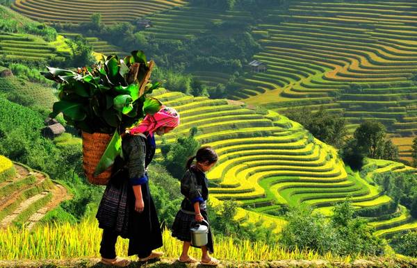 Tháng 9 là thời điểm đẹp nhất để săn mùa lúa chín ở Sapa. Ảnh: Vietnampremiertravel.com Tháng 9 là thời điểm đẹp nhất để săn mùa lúa chín ở Sapa. Ảnh: Vietnampremiertravel.com