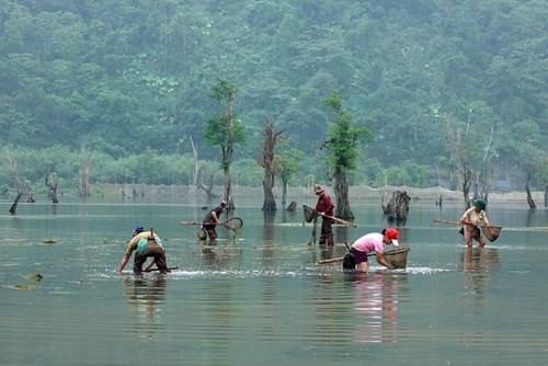 Hồ vừa có thể nuôi trồng thủy sản, vừa có thể trồng trọt rau màu