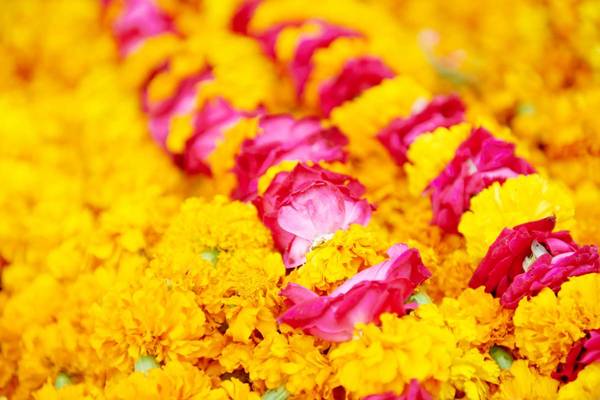 Những quầy hàng bán hoa có mặt ở khắp mọi nơi tại khu Tiểu Ấn. Ảnh: Skyscanner
