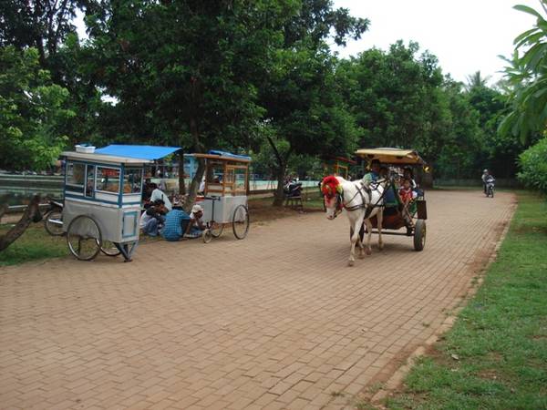 Du khách có thể ngồi xe ngựa khám phá ngôi làng. Ảnh: Kotawisataindonesia.com