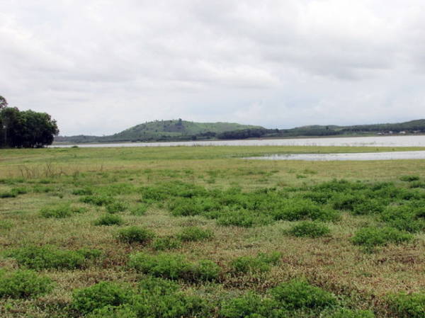 Thảm cỏ hoa ven hồ Đá Bàng - Ảnh: N.T.Đăng