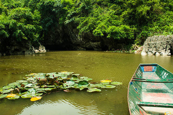 Không gian rộng thoáng của ao Dong với sắc xanh của nước và cây cỏ - Ảnh: Minh Đức