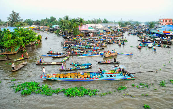 Chợ nổi Ngã Năm. Ảnh: Gomkongdelta Chợ nổi Ngã Năm. Ảnh: Gomkongdelta
