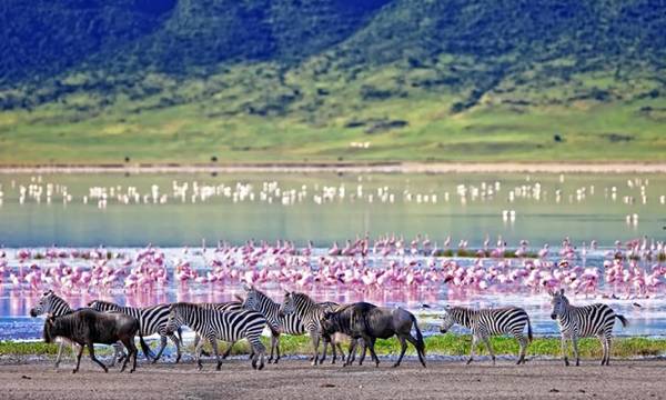 bao-anh-goi-y-du-khach-den-mekong-cho-mua-giang-sinh-ivivu-8