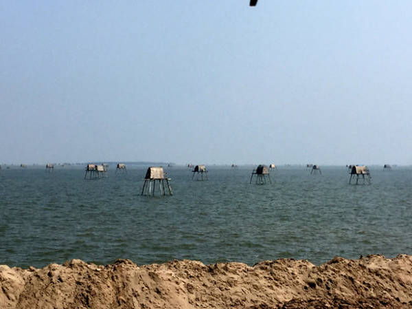  Những chòi ngao trên bãi biển Đồng Châu - Ảnh: Thủy OCG