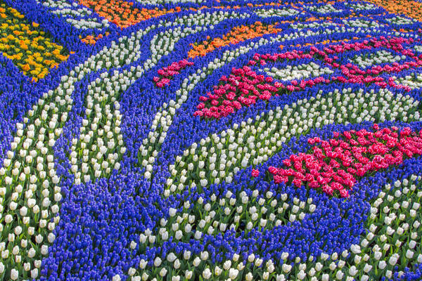 Những khóm hoa với nhiều màu sắc khác nhau được trồng xem kẽ trông rất nghệ thuật. Ảnh: tripheros.com