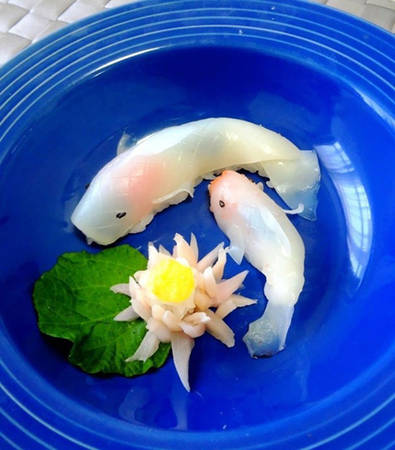 Cặp cá bơi quanh khóm hoa súng. Hiện tại một phần sushi cá koi được bán với giá khoảng 800 yên (gần 150.000 đồng).